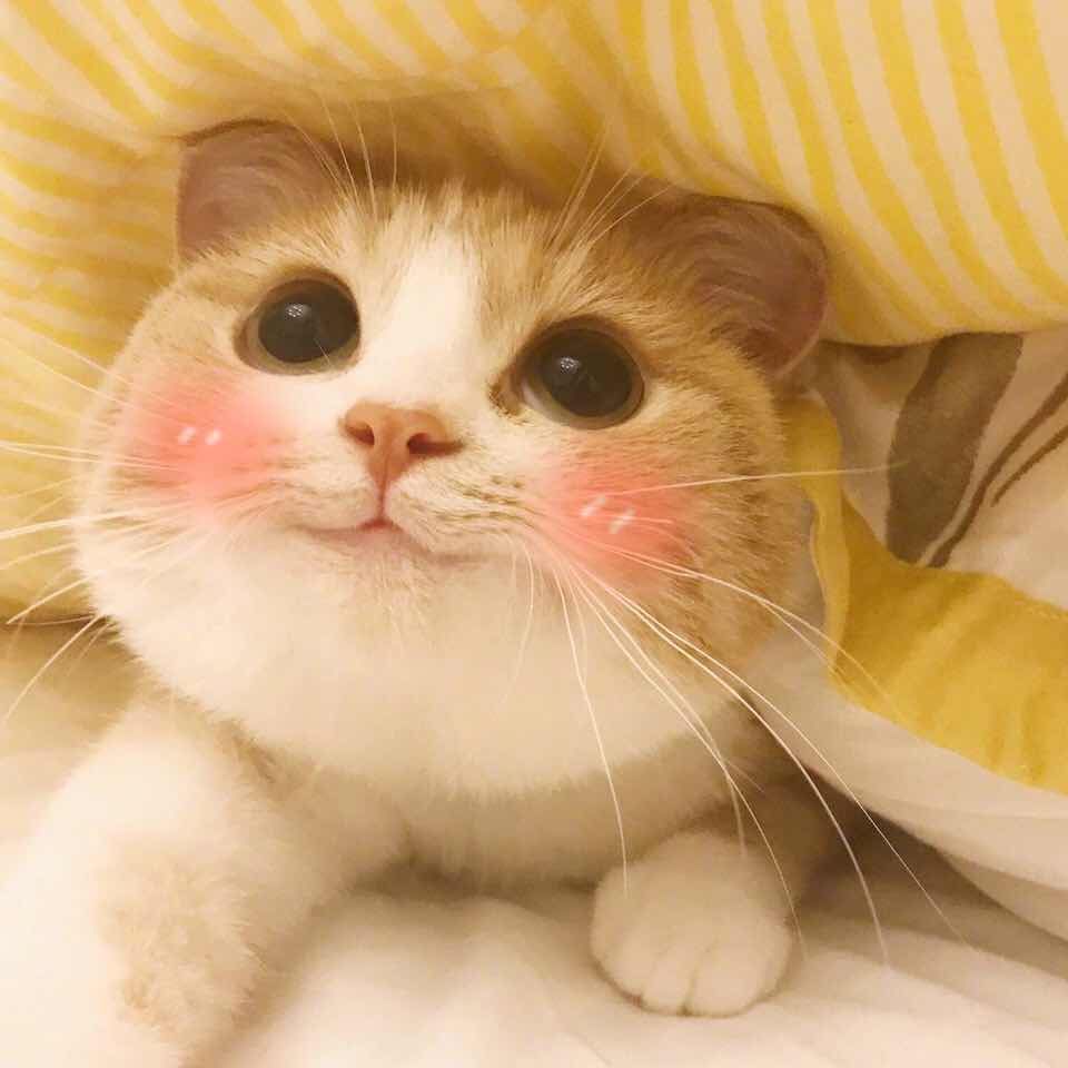 暂无昵称